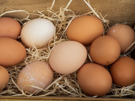 Eggs